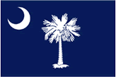 South Carolina Real Estate State Flag